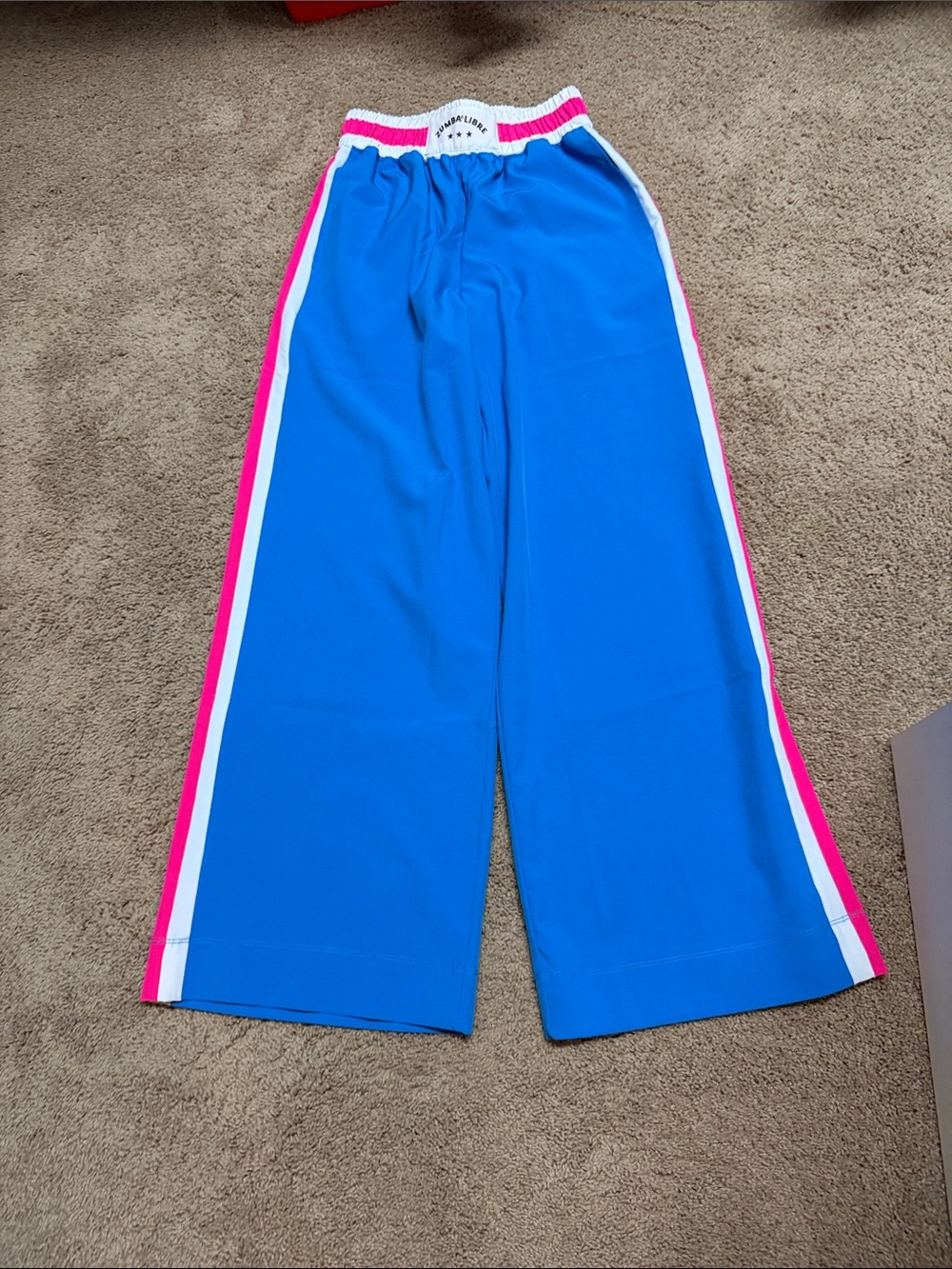 Zumba Fitness Blue Track Pants with Pink & White Side Stripes